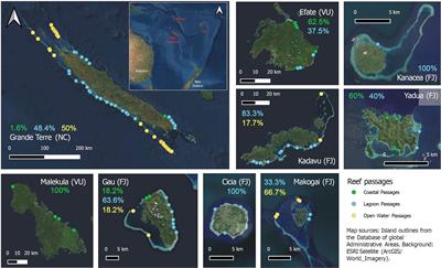 A Typology for Reef Passages